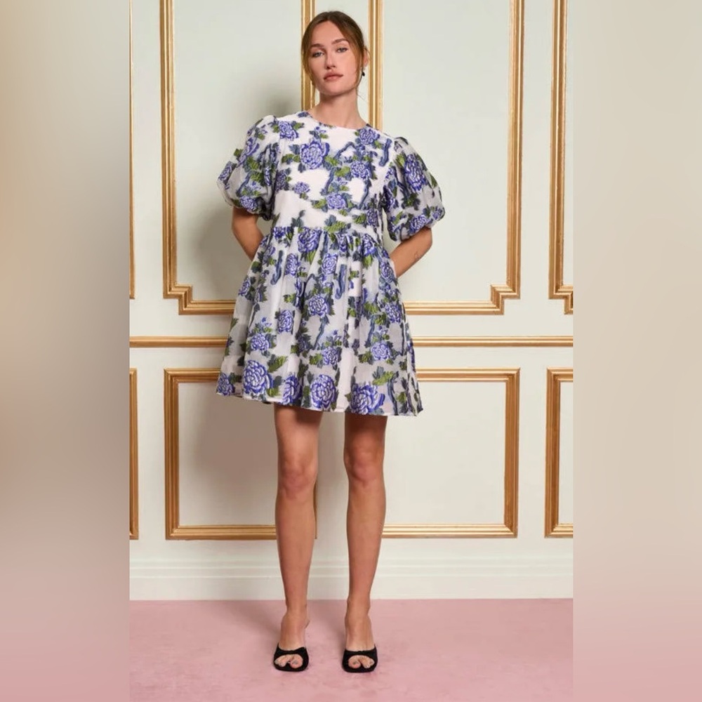NWT size Medium Sister Jane Dream Iris Organza Mini Dress